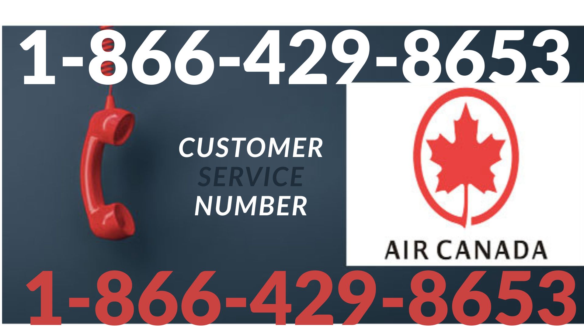 [FULL GUIDE] Air Canada Customer Service: All 10 Contact Customer 24-7 Support Guide - YouTube